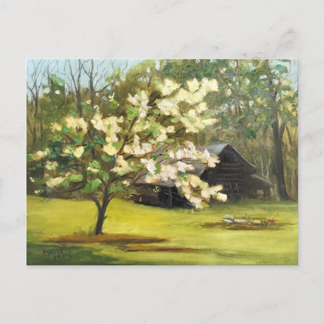Carte Postale Jours de Dogwood (Devant)