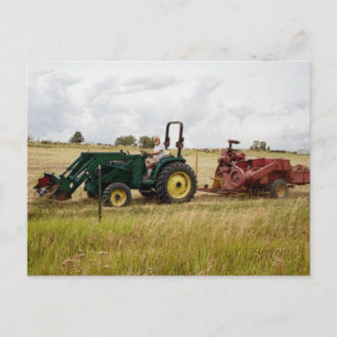 Carte Postale Joyau dans les champs de Ranch d'or