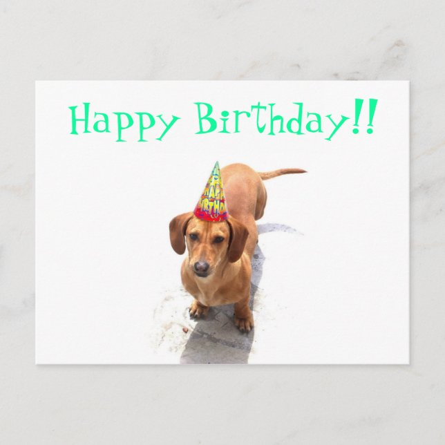 Carte postale Joyeuse Anniversaire Dachshund (Devant)