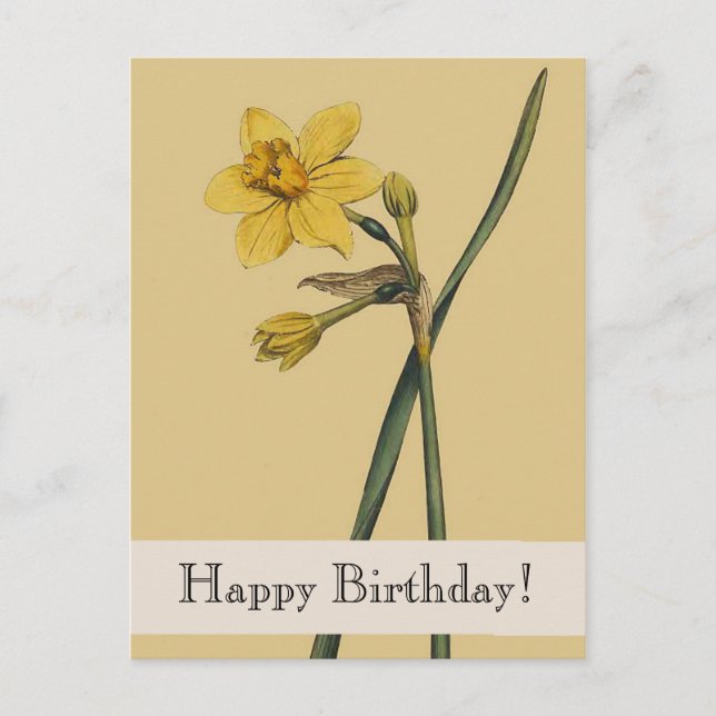 Carte postale Joyeuse Anniversaire de la jonquette (Devant)