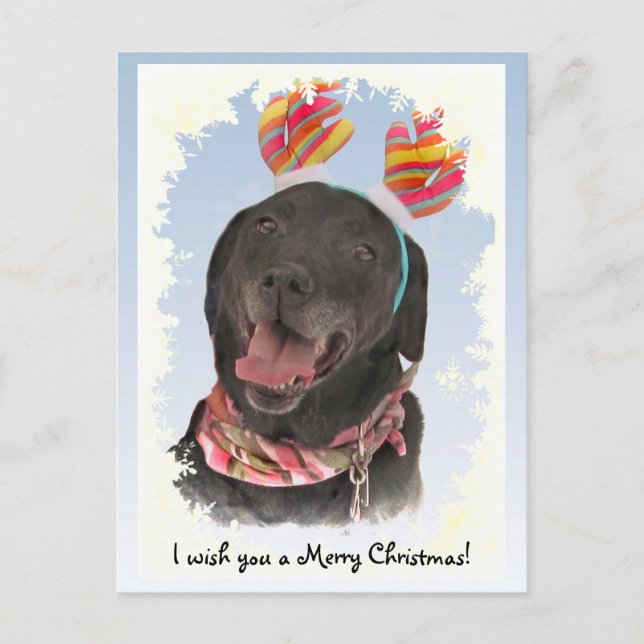 Carte postale Joyeuse Black Labrador Retriever Chr (Devant)