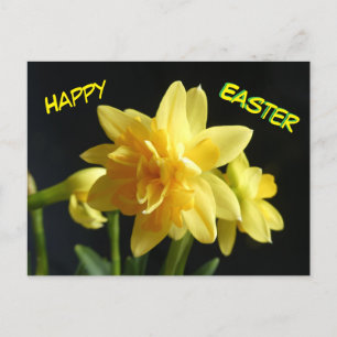 Carte postale Joyeuse Daffodils à double fleur de