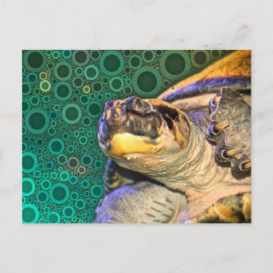 Carte postale Joyeuse de tortue de mer
