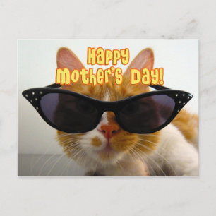 Carte Postale Joyeuse Fête des Mères Chat Cool en Lunettes de So
