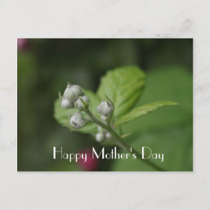 Carte Postale Joyeuse fête des Mères, fleur de framboisier sauva