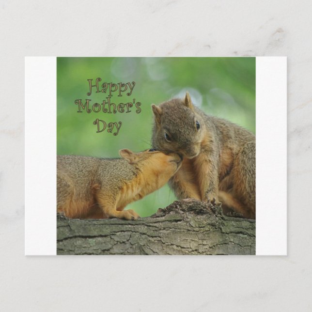 Carte Postale Joyeuse fête des mères - Maman et Bébé écureuil (Devant)