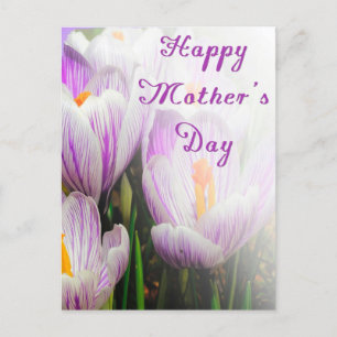 Carte Postale Joyeuse fête des mères Violette et Blanche Tulipes