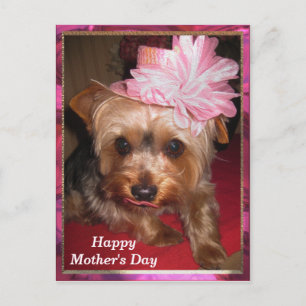 Carte Postale Joyeuse fête des mères Yorkie