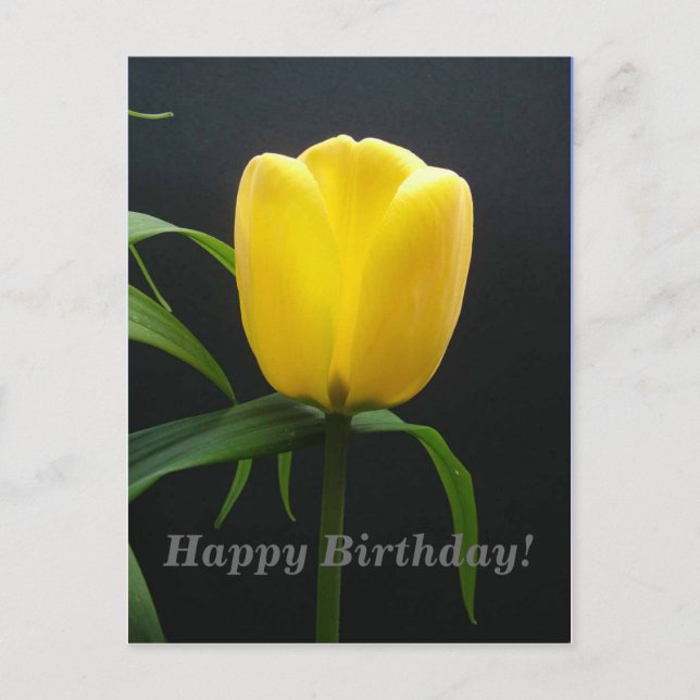 Carte Postale joyeuse fleur de tulipe jaune (Devant)
