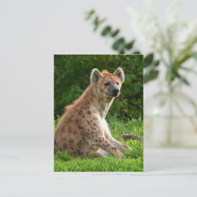 Carte Postale Joyeuse Hyena Au milieu de la verdure (Debout devant)