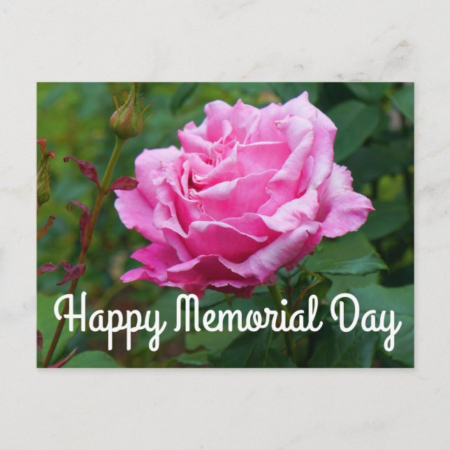 Carte Postale Joyeuse Journée commémorative - Rose de la Journée (Devant)