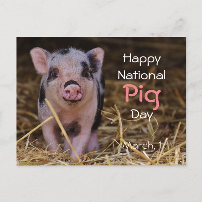 Carte Postale Joyeuse Journée nationale du cochon ! (1er mars) (Devant)