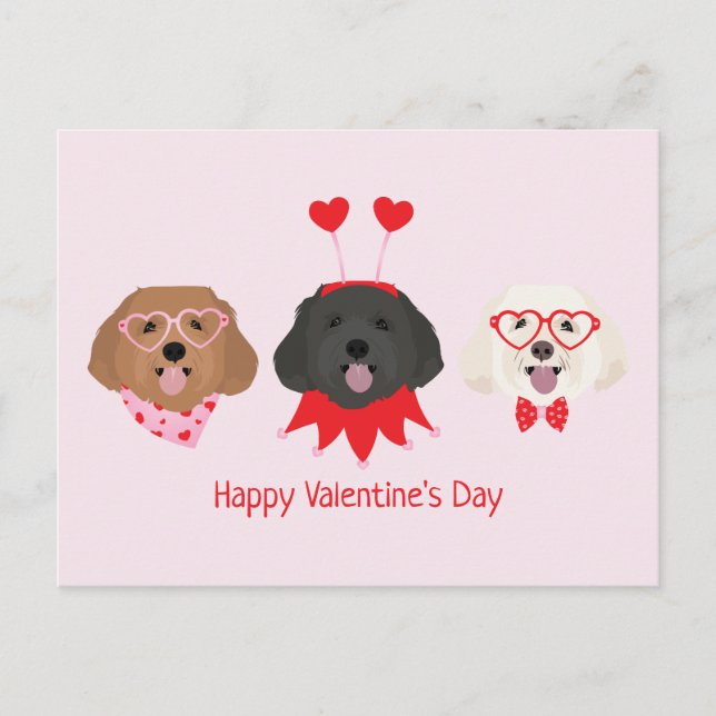 Carte Postale Joyeuse Saint-Valentin Chiens Maltipoo (Devant)