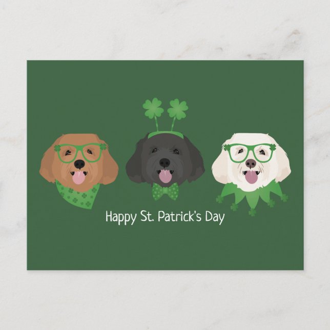 Carte Postale Joyeuse St Patrick Maltipoo Chiens (Devant)