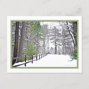 Carte Postale Joyeuses fêtes/Walden Pond :