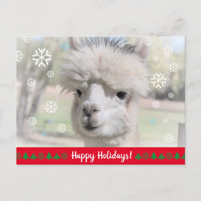 Carte Postale Joyeuses vacances de Snow Alpaca (Devant)