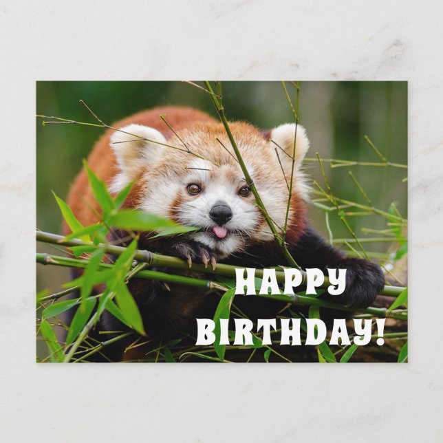 Carte Postale Joyeux anniversaire (Devant)