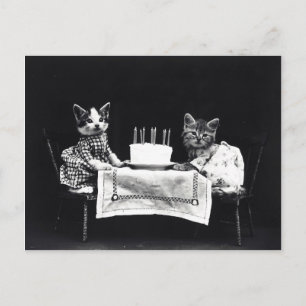 Carte Postale Joyeux anniversaire à Meow   Kitties avec gâteau