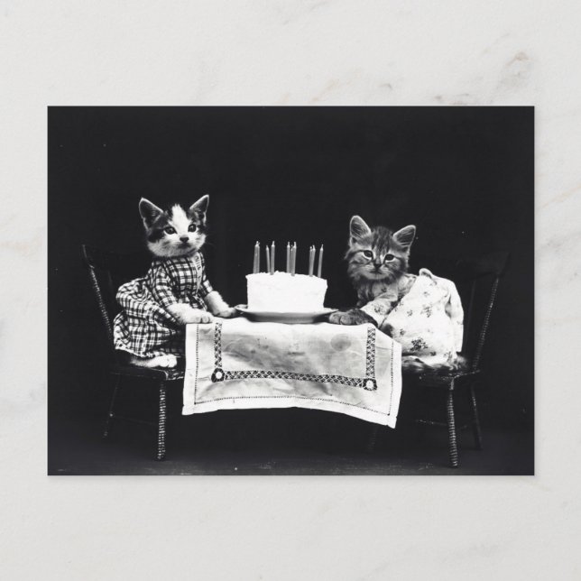 Carte Postale Joyeux anniversaire à Meow | Kitties avec gâteau (Devant)