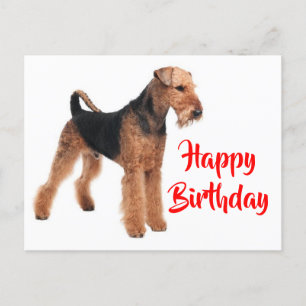 Carte Postale Joyeux Anniversaire Airedale Terrier Chien chiot