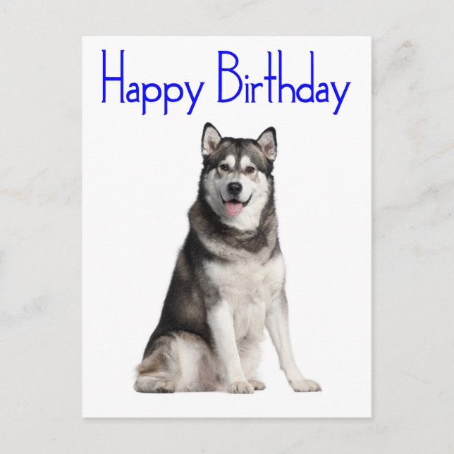 Carte Postale Joyeux Anniversaire Alaskan Malamute Chien Chien C (Devant)