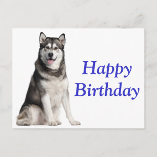 Carte Postale Joyeux Anniversaire Alaskan Malamute Chien Chien C