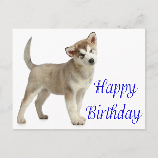 Carte Postale Joyeux Anniversaire Alaskan Malamute Chien Chien C (Devant)