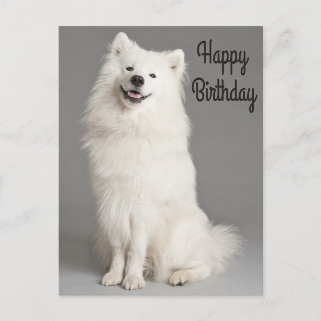 Carte Postale Joyeux Anniversaire Américain Eskimo Chien Chien C (Devant)