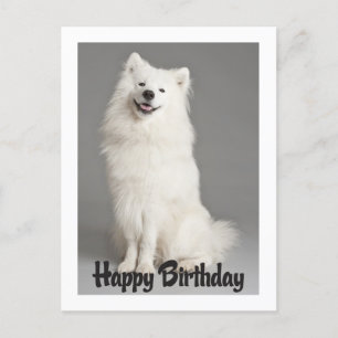 Carte Postale Joyeux Anniversaire Américain Eskimo Chien Chien C