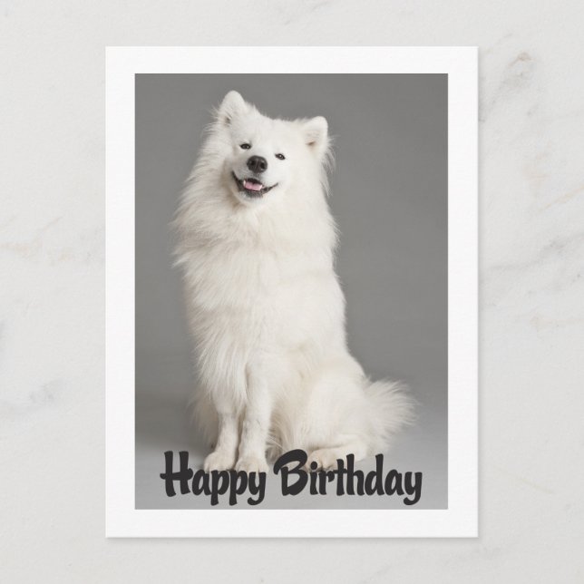 Carte Postale Joyeux Anniversaire Américain Eskimo Chien Chien C (Devant)
