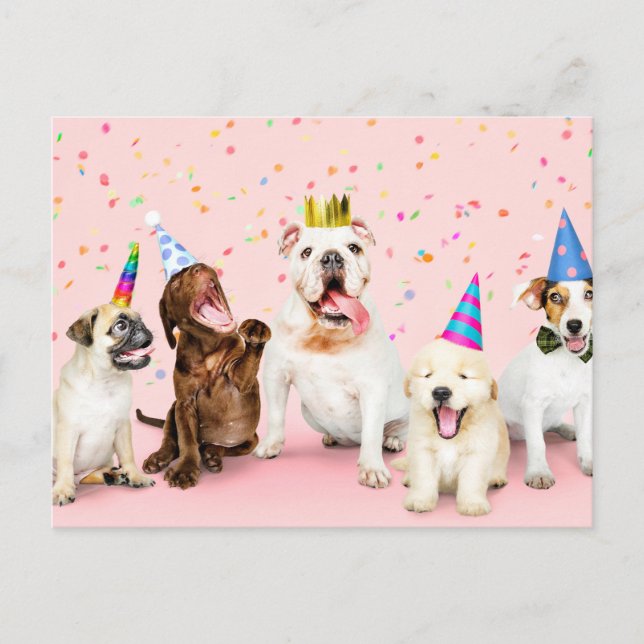 Carte Postale Joyeux Anniversaire Animaux de Fête Mignons (Devant)