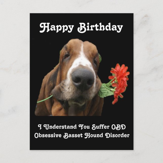 Carte Postale Joyeux Anniversaire Basset Hound Ave (Devant)