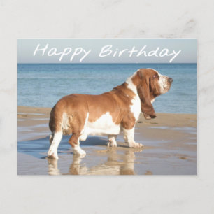 Carte Postale Joyeux Anniversaire Basset Hound Chien Chien Pot C