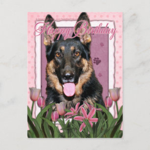 Carte Postale Joyeux anniversaire - berger allemand - Kuno