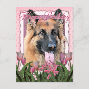 Carte Postale Joyeux anniversaire - Berger allemand - Long Haire