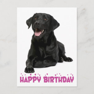 Carte Postale Joyeux anniversaire Black Labrador Retriever Chien