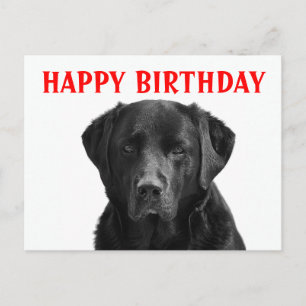 Carte Postale Joyeux anniversaire Black Labrador Retriever Chien