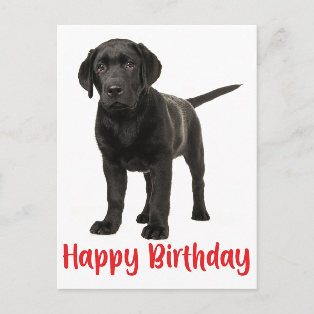 Carte Postale Joyeux anniversaire Black Labrador Retriever Chien (Devant)