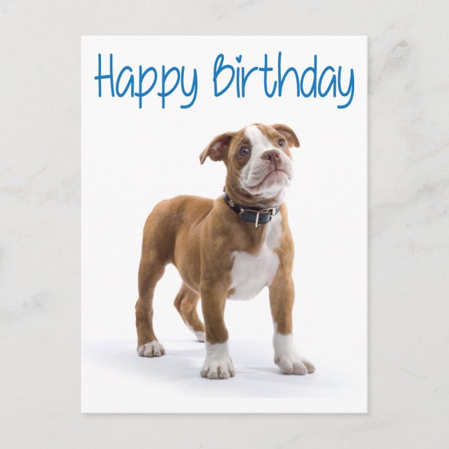 Carte Postale Joyeux Anniversaire Boxer Puppy Chien Postard (Devant)