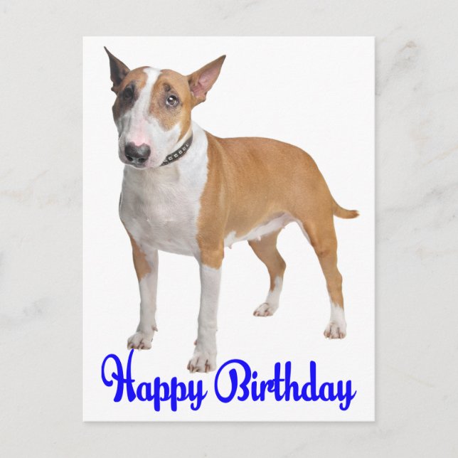 Carte Postale Joyeux Anniversaire Bull Terrier Chien chiot (Devant)