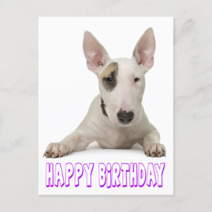 Carte Postale Joyeux Anniversaire Bull Terrier Chien chiot