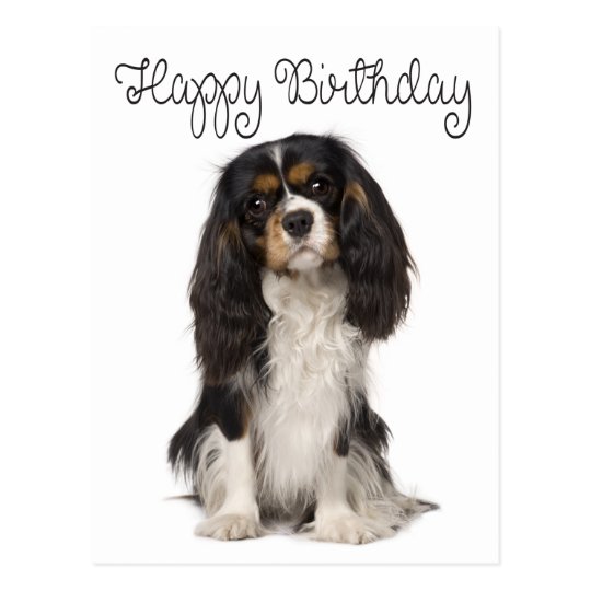 Carte Postale Joyeux Anniversaire Cavalier Le Roi Charles Spanie Zazzle Ca