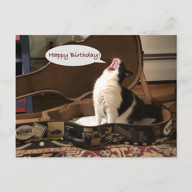 Carte postale, Joyeux Anniversaire, Chant de chat  (Devant)