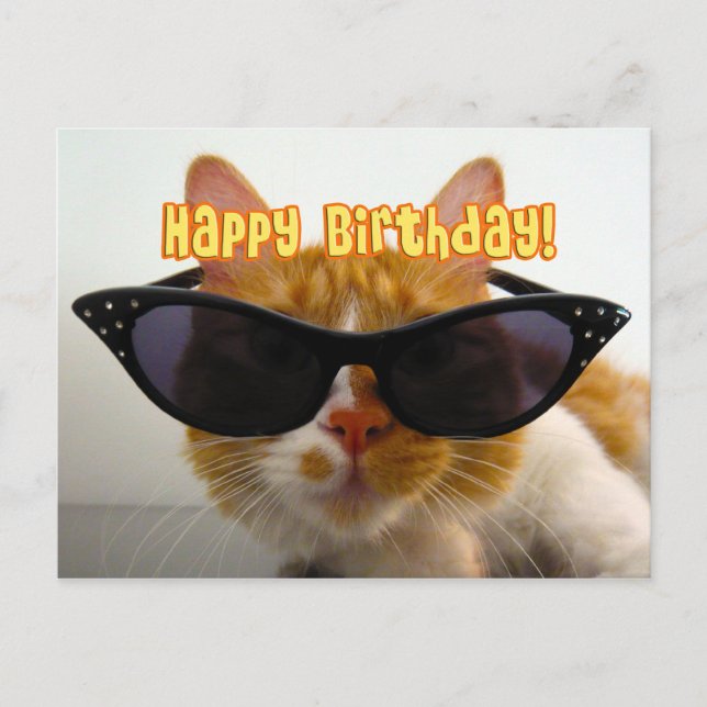 Carte Postale Joyeux anniversaire - Chat Cool dans Lunettes de s (Devant)