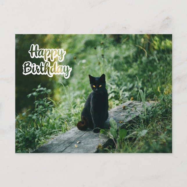 Carte Postale Joyeux Anniversaire Chat Noir Dehors  (Devant)