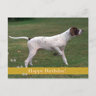 Carte Postale Joyeux anniversaire ! | Chien de photo