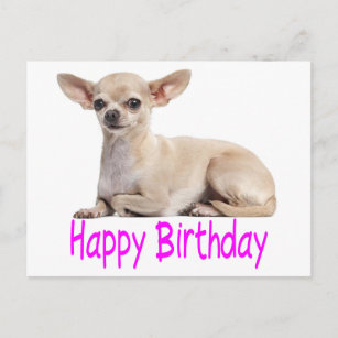 Cartes Chiwawa D Anniversaire Zazzle Ca