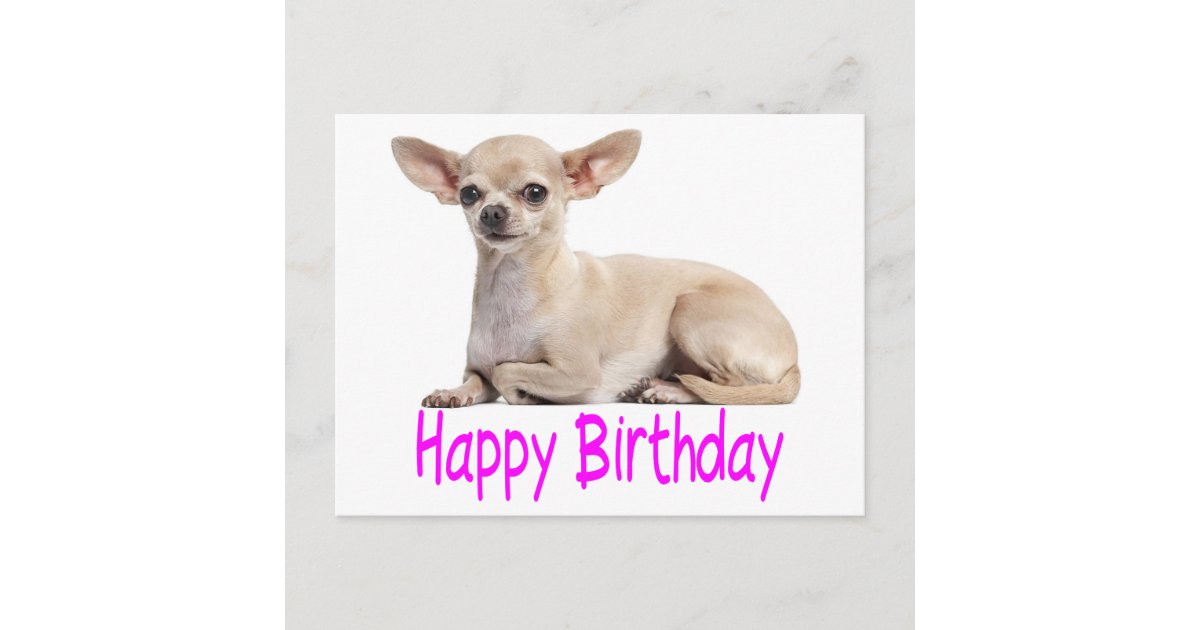 Carte Postale Joyeux Anniversaire Chihuahua Chien Chiot Purple V Zazzle Ca