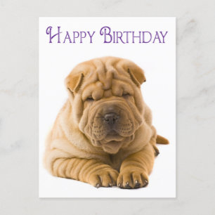 Carte Postale Joyeux Anniversaire Chinois Shar Pei Chien Chien C