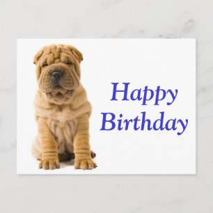 Carte Postale Joyeux Anniversaire Chinois Shar Pei Chien Chien C
